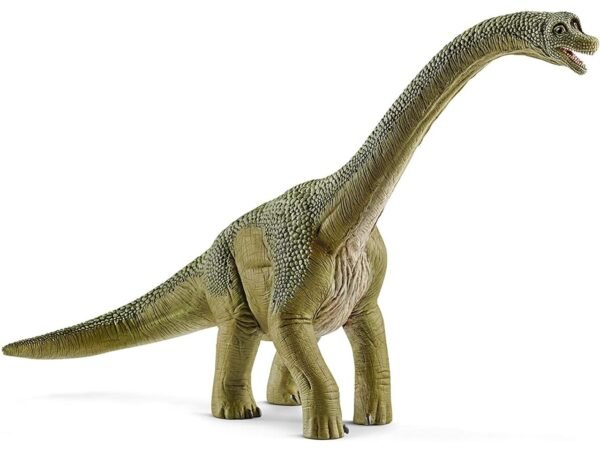 BRACHIOSAURO 14581