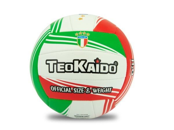 PALLONE VOLLEY T.5 260-280 GR 52240