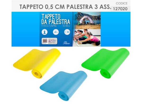 TAPPETO PALESTRA 127020