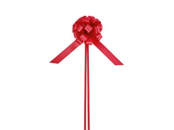 NASTRO SATIN PULL-BOWS 2,5CM 23598 00