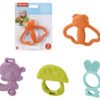 FISHER PRICE DENTARUOLI ASS. JFJ95-0