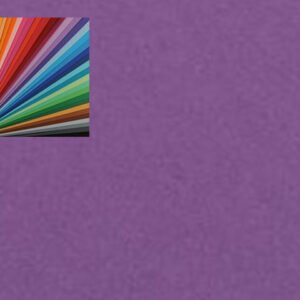 CARTONCINO COLORLINE 220gr 50x70 VIOLA