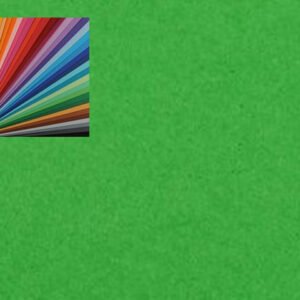 CARTONCINO COLORLINE 220gr 50x70 VERDE