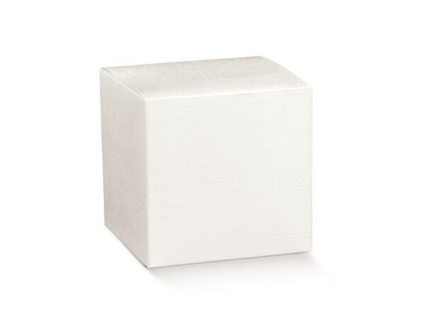 SCATOLA FIBRA BIANCA 170X170X100MM 19033C