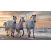 QUADRO BRILLANT 52X122CM HORSES 97651