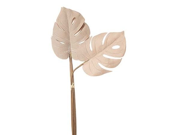 MAZZO FILODENDRO 6FOGLIE CHAMP.N22802 $