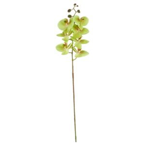 FIORE PHALAENOPSIS NAT 105CM VER A20687