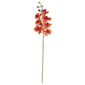 FIORE PHALAENOPSIS NAT 105CM PES A20687