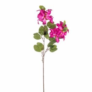 TRALCIO BAUHINIA 90cm FUCSIA A26530