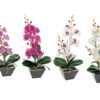 VASO C/ORCHIDEA 7F 10x10xH35cm 71151