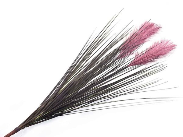 PAMPAS 85cm ROSA  323412753
