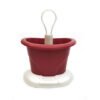 L.TULIPANO ROSSO VENEZIANO SCOLAPOSATE SPT