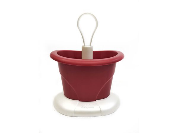 L.TULIPANO ROSSO VENEZIANO SCOLAPOSATE SPT