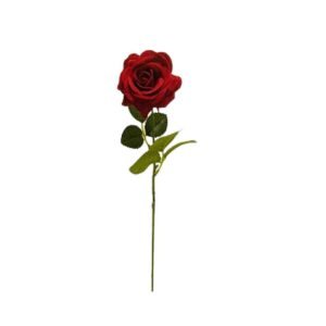 ROSA SINGOLA SPRUZZATA COLORE DS000043