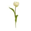 TULIPANO SPRUZ.49cm CREMA DS001932