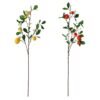 RAMOSCELLO C/5 AGRUMI 80CM 100464