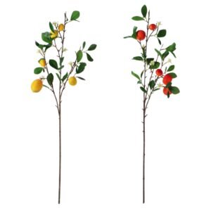 RAMOSCELLO C/5 AGRUMI 80CM 100464