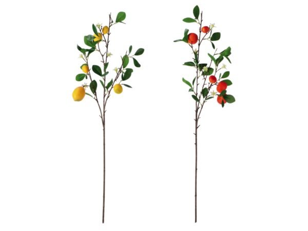 RAMOSCELLO C/5 AGRUMI 80CM 100464