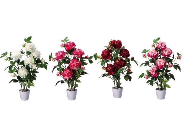 PEONIA IN VASO D.15XH.80CM 100684