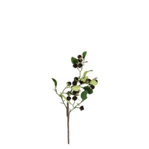 RAMOSCELLO CON 20 MORE 59CM 111243