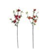 RAMOSCELLO 5 MELOGRANE 90CM ASS 112540